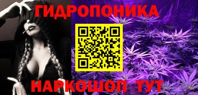 ГАЛЛЮЦИНОГЕННЫЕ ГРИБЫ Гатчина