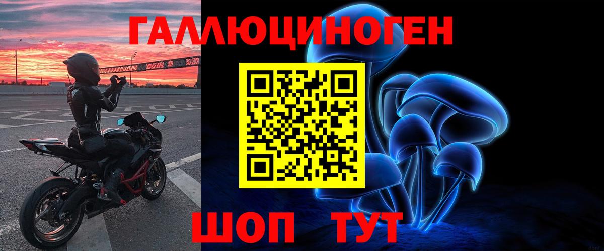 Псилоцибиновые грибы MAGIC MUSHROOMS  Вход с VPN  Гудермес 