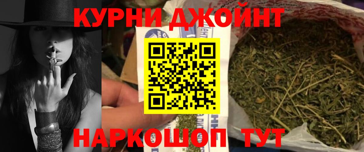 Бошки марихуана сатива Гудермес